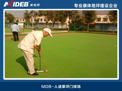 人造草坪門(mén)球場(chǎng)